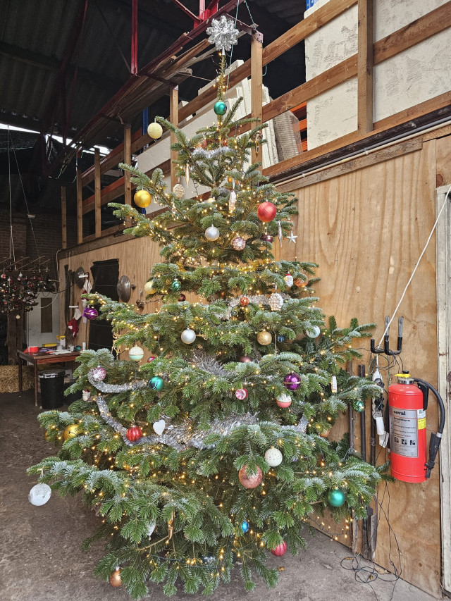 Kerstbomen algemeen 2023 3