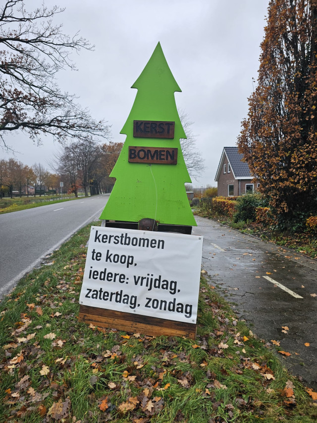 Kerstbomen algemeen 2023 4