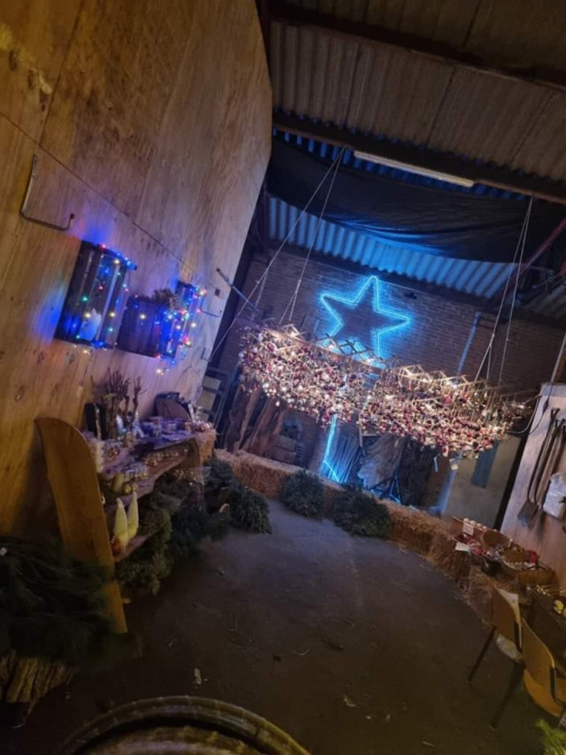 Kerstbomen algemeen 2023 5